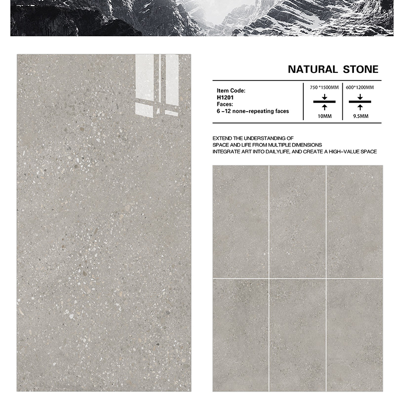 Matt Terrazzo Floor Tiles (2)