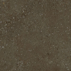 Polished Terrazzo Porcelain (1)