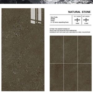 Polished Terrazzo Porcelain (2)