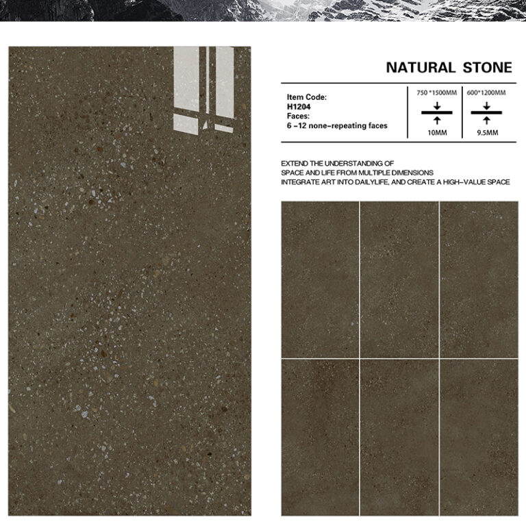 Polished Terrazzo Porcelain (2)